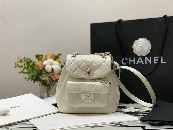 CHANEL 샤넬 미니 백팩 C80884-1