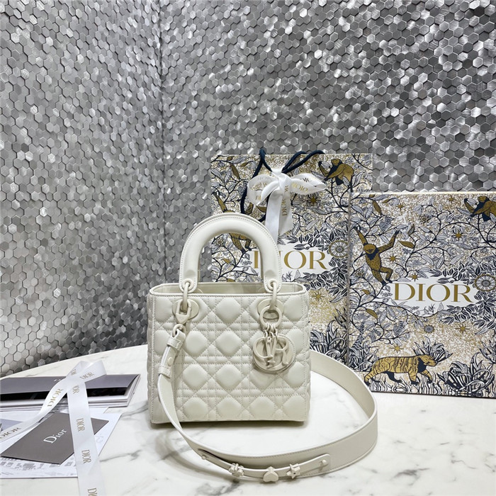  Dior 디올 레이디 백 마이 에이비씨 M0538
