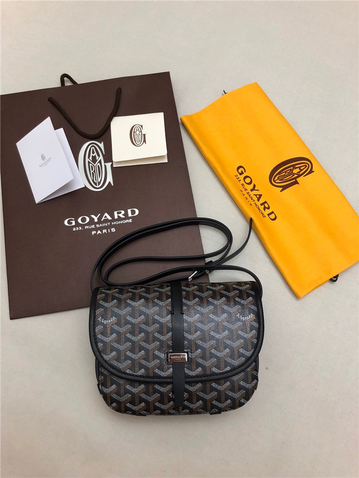 고야드 메신져백 22CM GY100980-5