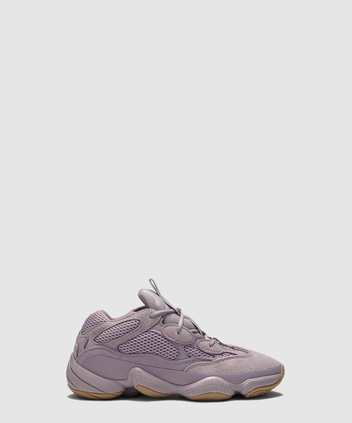 이지 500 소프트비전 FW2656
